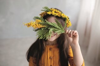 Mimosa
